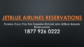 Florida Calls You This Summer– Explore with JetBlue Airlines Reservations