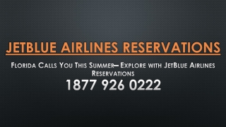 Florida Calls You– Explore with JetBlue Airlines Reservations