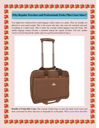 Why Regular Travelers and Professionals Prefer Pilot Cases More?