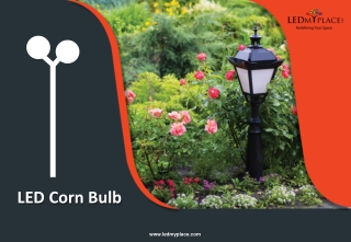 What Are LED Corn Bulbs Used For And Their Benefits?