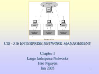 CIS - 516 ENTERPRISE NETWORK MANAGEMENT Chapter 1 Large Enterprise Networks Hao Nguyen Jan 2005