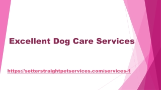 Excellent Dog Care Services