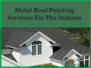 Metal Roof Painting Services For The Indiana