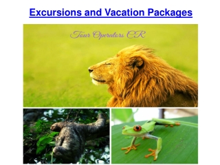 Excursions and Vacation Packages