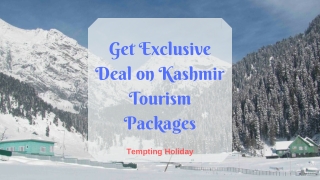 Get Perfect Tourism in Kashmir from Tempting Holiday