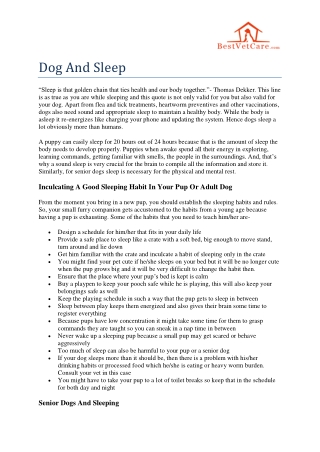 Dog and sleep - about dog sleeping habits