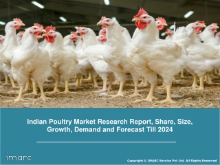 Poultry Market In India: Share, Size, Growth, Demand and Forecast Till 2024: IMARC Group