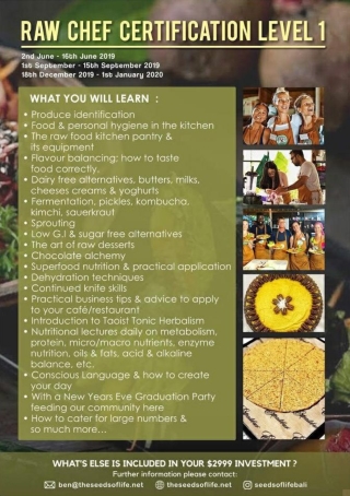 Raw Food Chef Workshop Training Class by BenRichards.life in ubud Bali