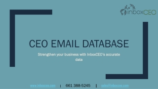 Which is the best CEO Mailing List provider and why?