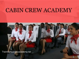 Availability Of Air Hostesses Jobs In South Africa