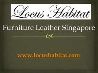 Furniture Leather Singapore