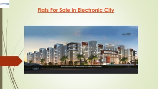 Flat for Sale in Electronic City