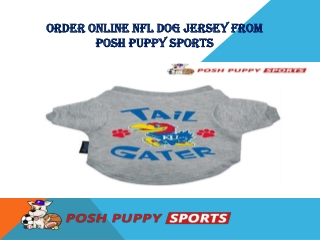 ORDER ONLINE NFL DOG JERSEY FROM POSH PUPPY SPORTS