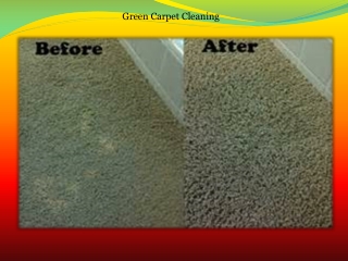 Green Carpet Cleaning