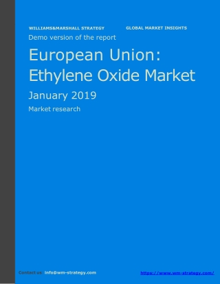 WMStrategy Demo European Union Ethylene Oxide Market January 2019