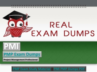 What Make PMI PMP Dumps PDF through Dumps4downlaod don't Want You to Know?