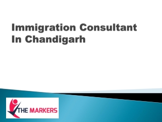 Immigration Consultant In Chandigarh