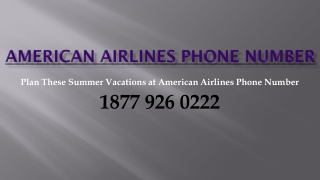 Plan These Summer Vacations at American Airlines Phone Number