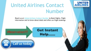 United Airlines Contact Number