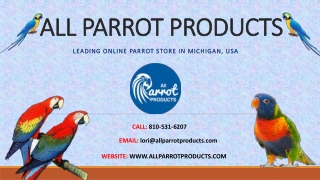 All Parrot Products – Leading Online Parrot Store in Michigan, USA