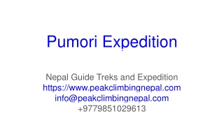 Pumori Expedition