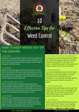 EFFECTIVE TIPS FOR WEED CONTROL