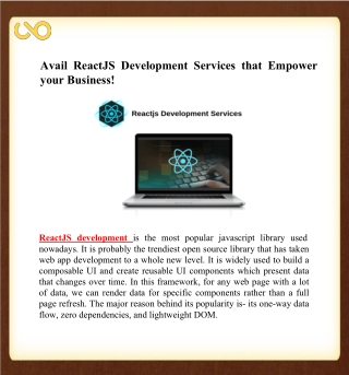 Reactjs Development Services