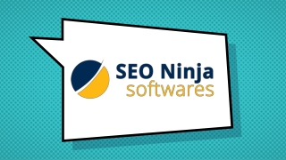 Free DNS Records Finder | SEO Ninja Softwares