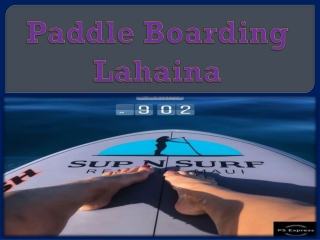 Paddle Boarding Lahaina