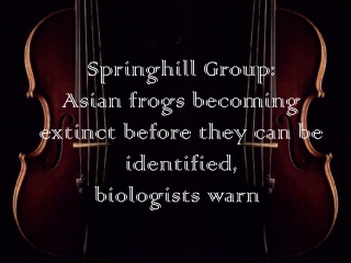 Asian frogs becoming extinct before they can be identified,