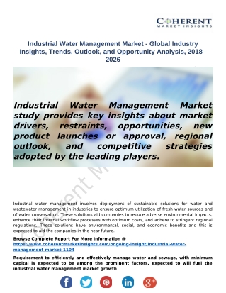 Industrial Water Management Marke