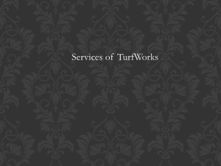 Services of TurfWorks
