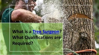 What is a Tree Surgeon? What Qualifications are Required?