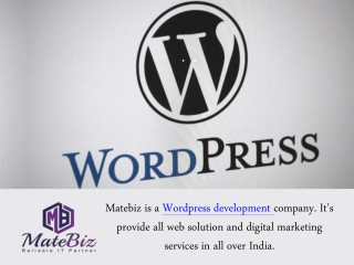 Why Choose WordPress Development Services From Matebiz