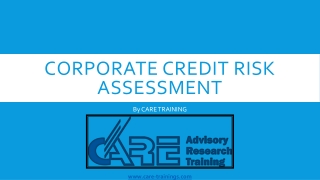 Corporate Credit Risk Assessment by CARE Training