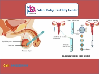 https://www.slideserve.com/palanibalaji/best-fertility-center-in-chennai-powerpoint-ppt-presentation-8254576