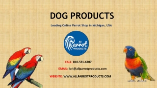 Buy Dog ProductsOnline – All Parrot Products