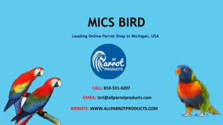 Buy Bird & Parrot Accessories – All Parrot Products