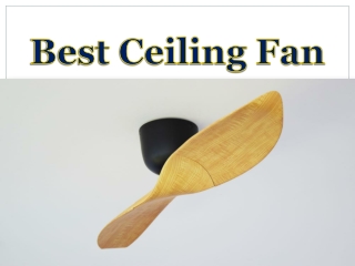 Best Ceiling Fan