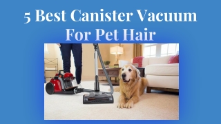 Canister Vacuum - Best Vacuums For Pet Hair