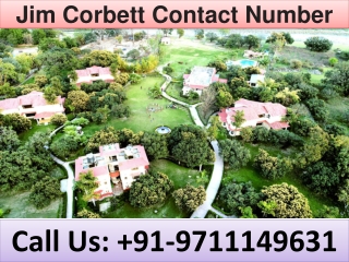 Jim Corbett Contact Number