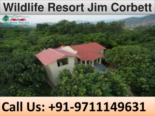 Wildlife Resort Jim Corbett