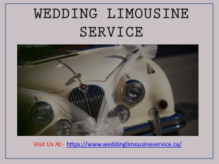 Toronto Wedding Limo