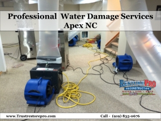 Professional Water Damage Services Apex NC