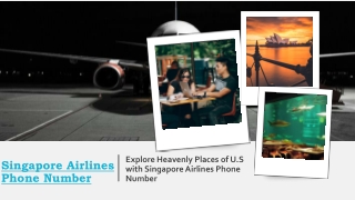 Explore heavenly places of U.S with Singapore Airlines Phone Number