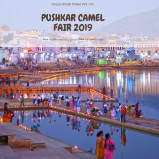 Pushkar camel Fair 2019