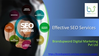 Effective SEO Services|SEO Company in Pune|Brandupword