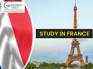 Study in France Consultants in India - Global Tree