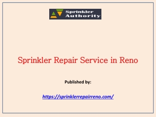Sprinkler Repair Service in Reno