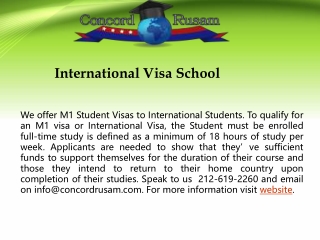Best International Visa School
